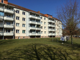 t849ec0e1-697481b7.jpg